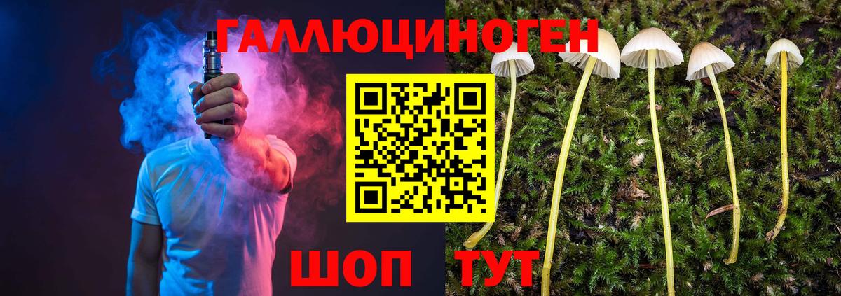 Галлюциногенные грибы Psilocybe  Псилоцибиновые грибы мухоморы  купить наркотики цена  Симферополь  Вход с VPN 